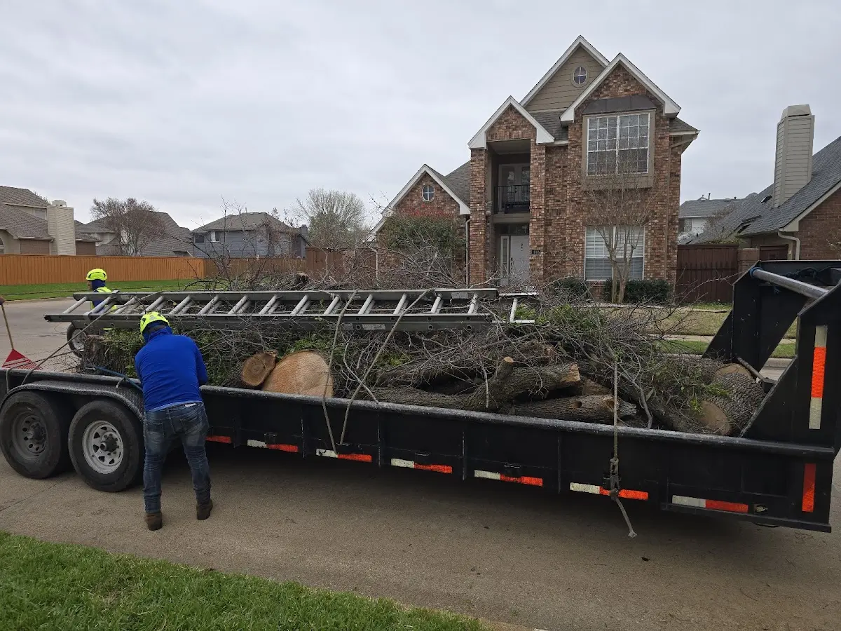 Expert Lot Clearing with proper safety equipment in Farlington